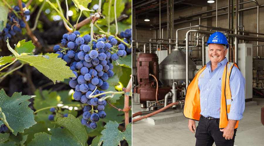 Duxton Vineyard and Winery