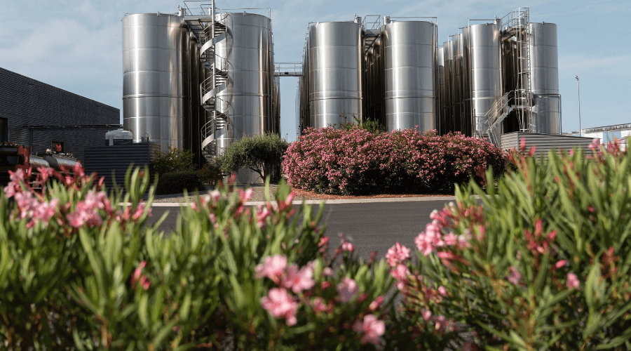 Sudvin Groupe INVIVO winery