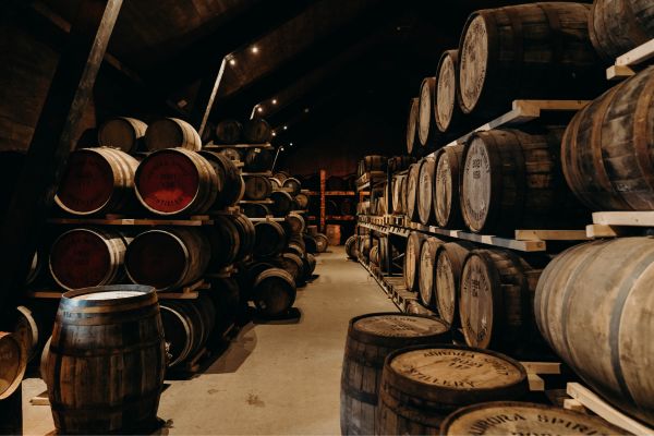 Aging Process