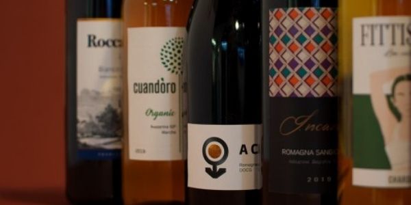 Cantina Cortecchia